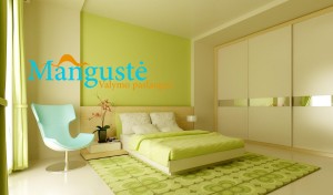 manguste.lt-valymo-paslaugos