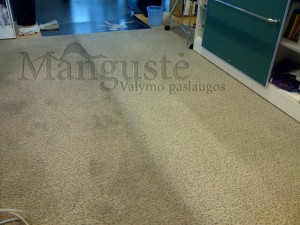 kilimines-dangios-valymas-plovimas