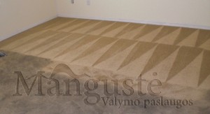 kilimines-dangos-valymas-vilniuje